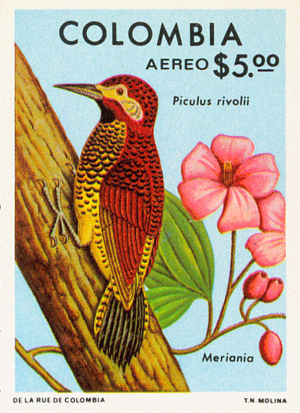 Colombia La Mesata 1kg