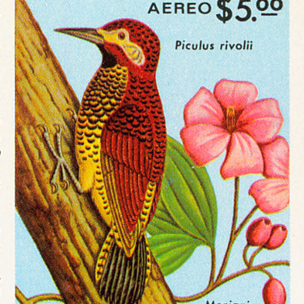 Colombia La Mesata 1kg